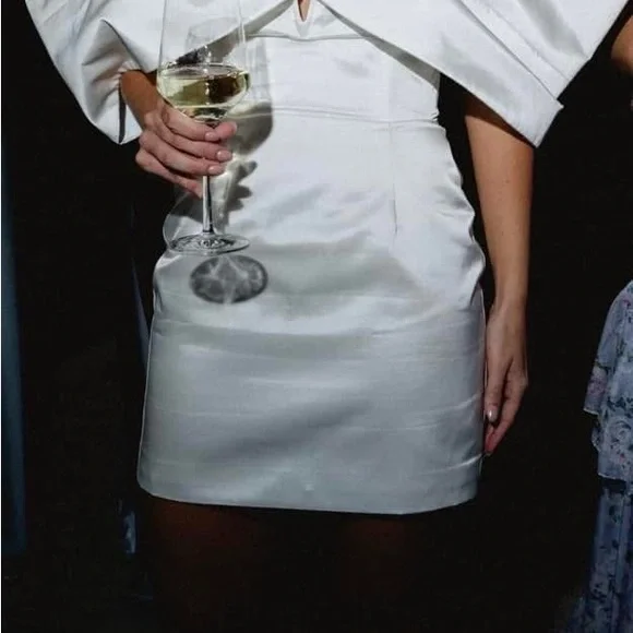 Sau Lee Blair Dress - Picture 6 of 6